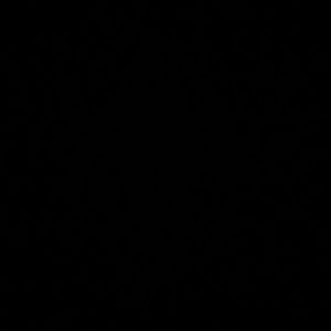 Meet your Posher, Santos